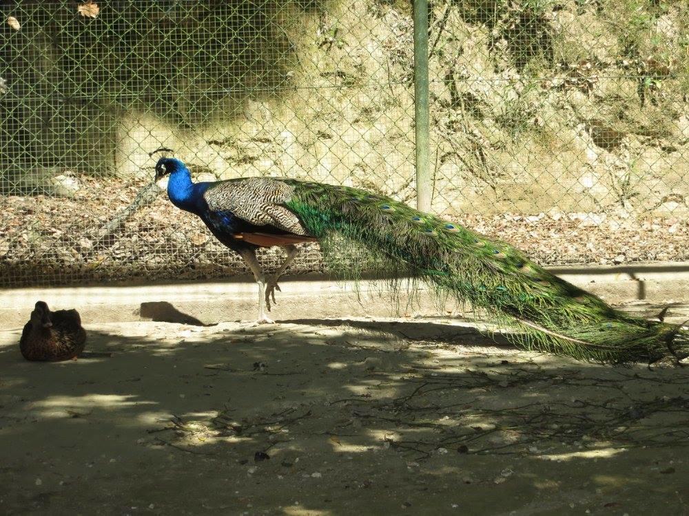Encosta Dos Tuneis - Turismo E Lazer Sever do Vouga Zewnętrze zdjęcie