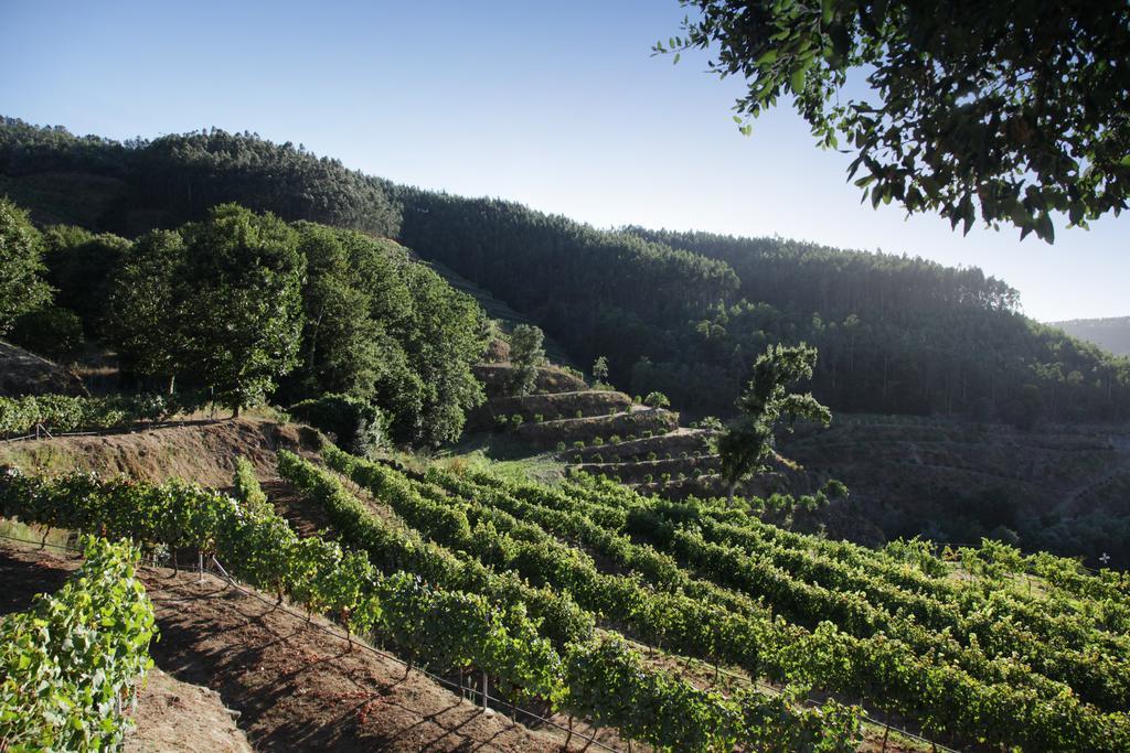 Encosta Dos Tuneis - Turismo E Lazer Sever do Vouga Zewnętrze zdjęcie